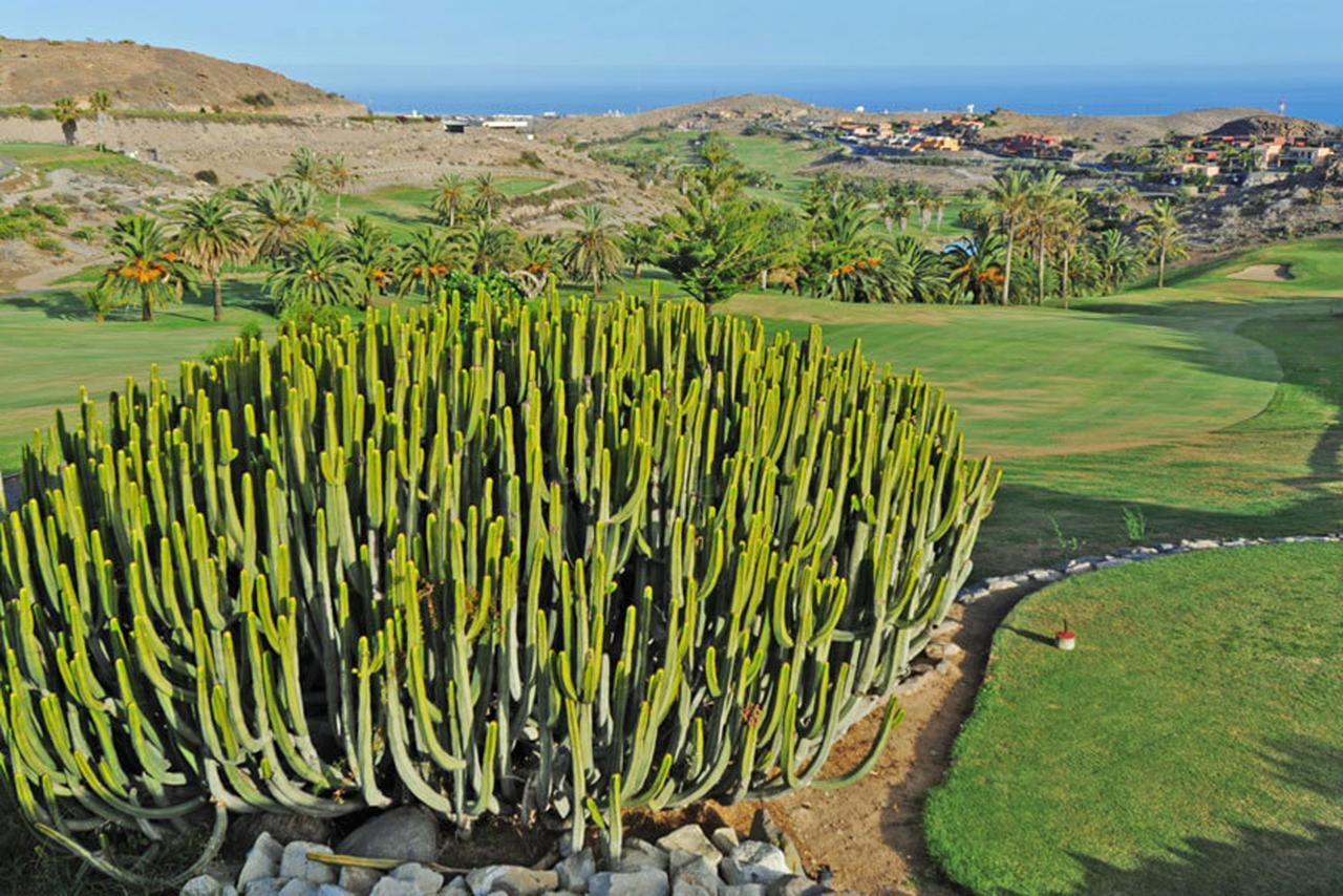 Salobre Las Terrazas 10 Maspalomas  Esterno foto
